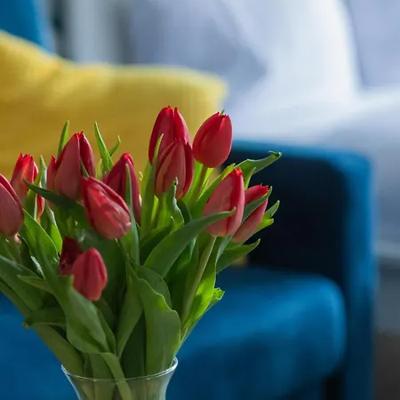 Potulicka Blue Apartamento Szczecin